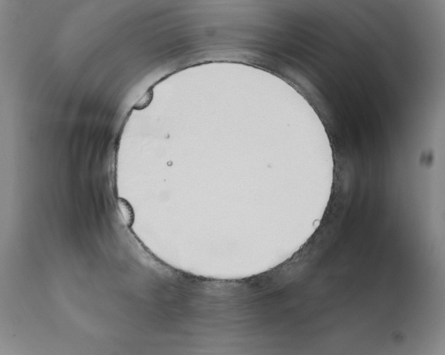 X0000111880804200909031839