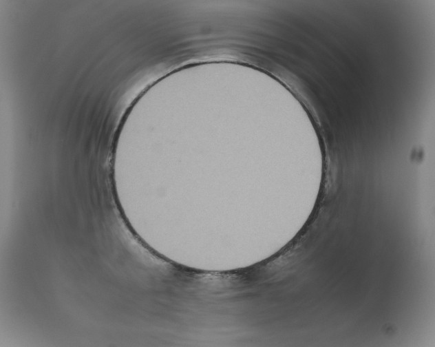 X0000111880805200909031839