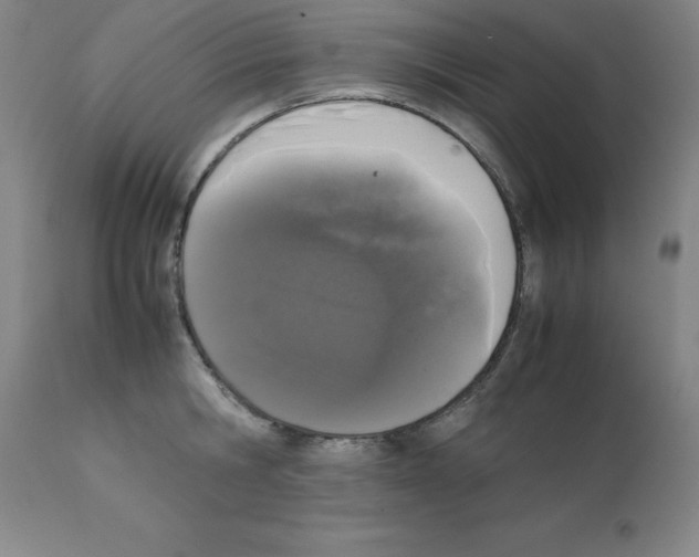 X0000111880806200909031839