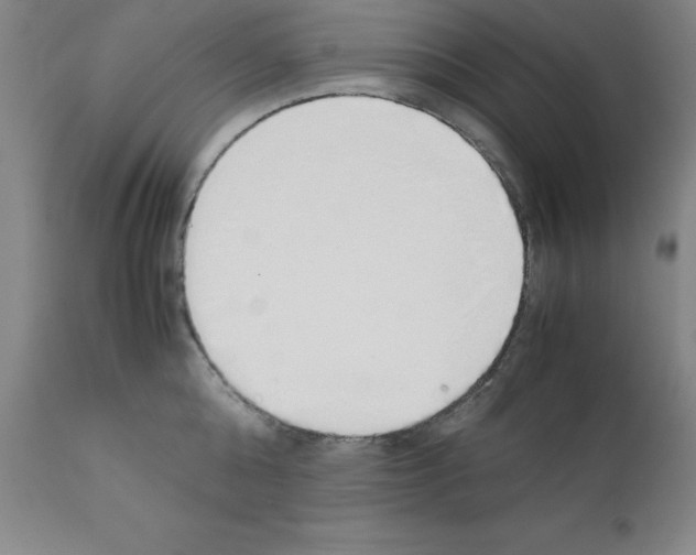 X0000111880808200909031839