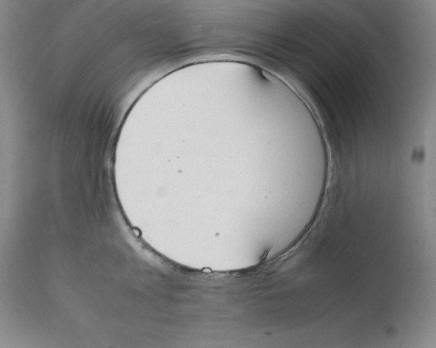 X0000111880813200909031839
