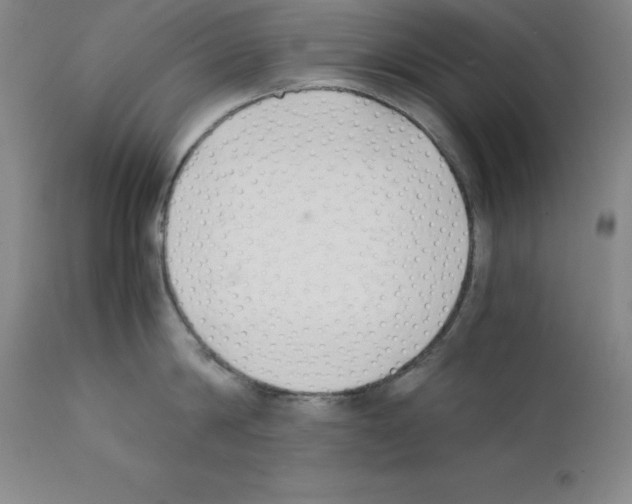 X0000111880814200909031839