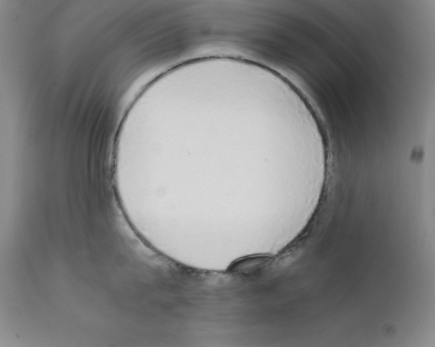 X0000111880815200909031839