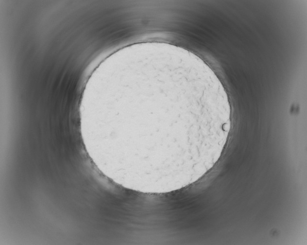X0000111880816200909031839