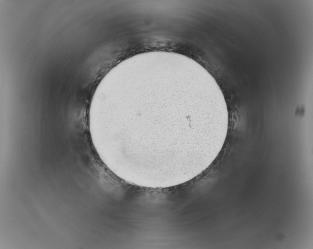 X0000111880820200909031838