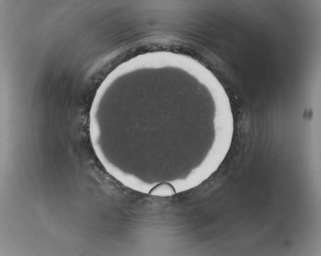 X0000111880822200909031838