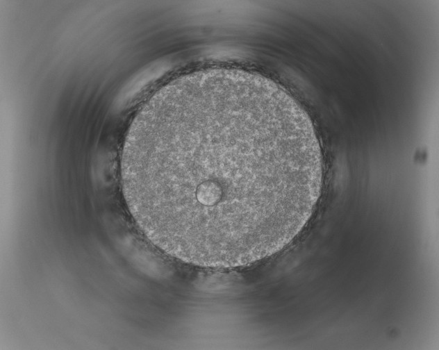 X0000111880824200909031838