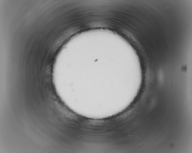 X0000111880825200909031838