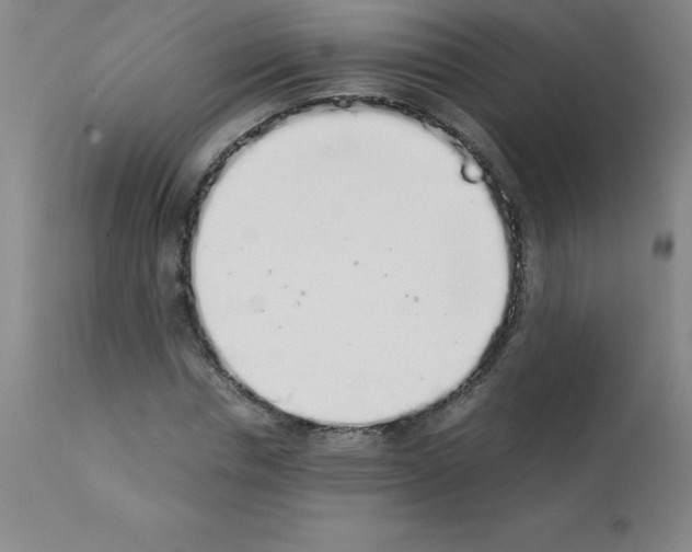 X0000111880826200909031838