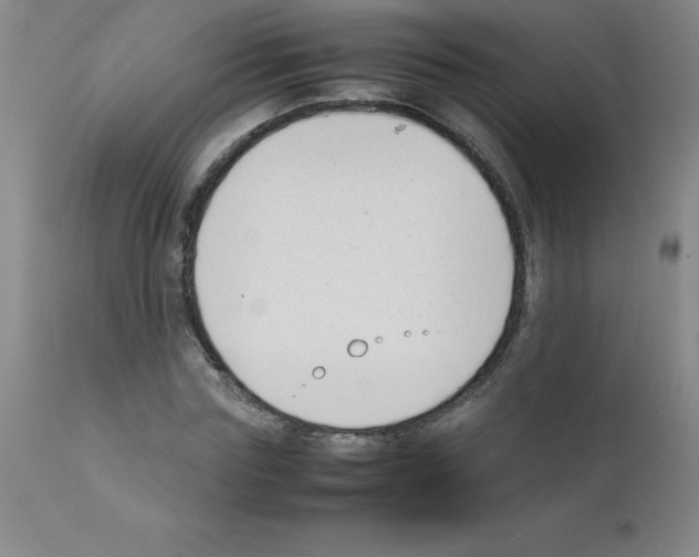 X0000111880827200909031838