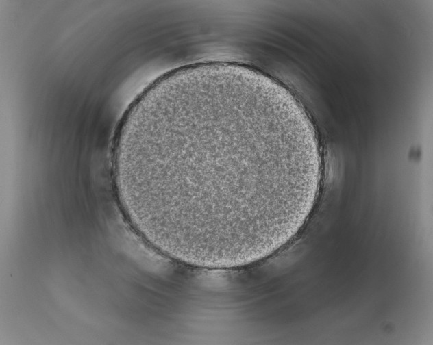X0000111880828200909031838