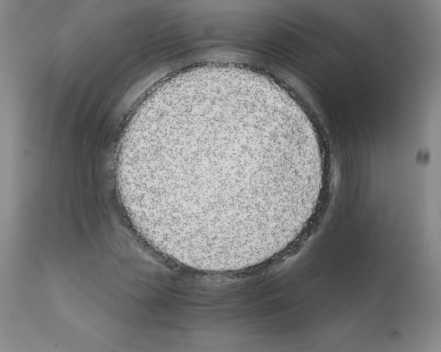 X0000111880829200909031838