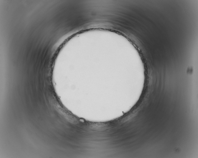 X0000111880830200909031838