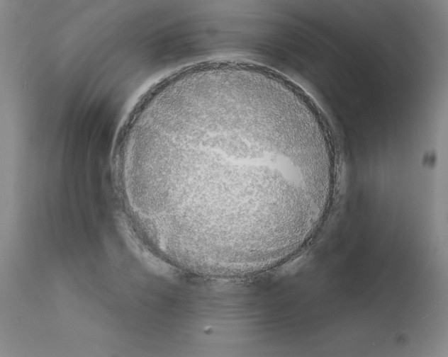 X0000111880832200909031838