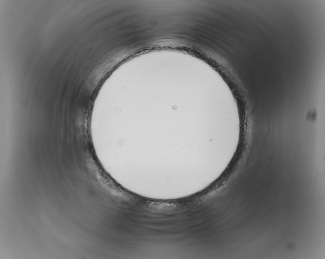 X0000111880833200909031838