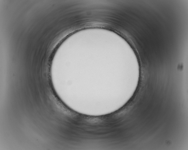 X0000111880835200909031838