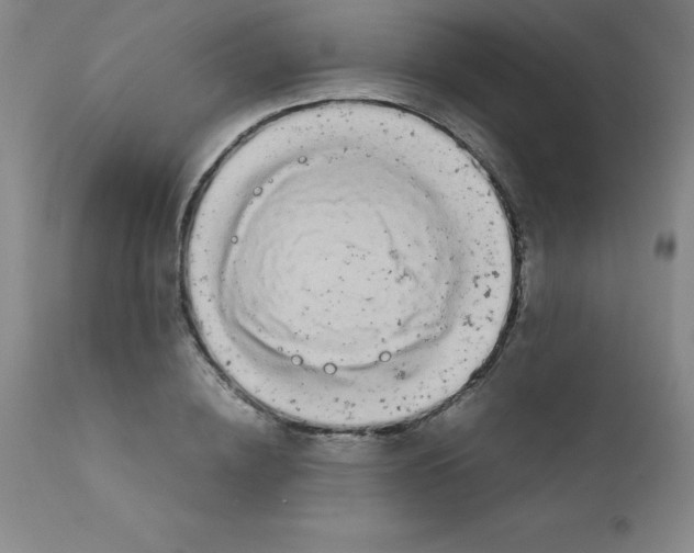 X0000111880836200909031838