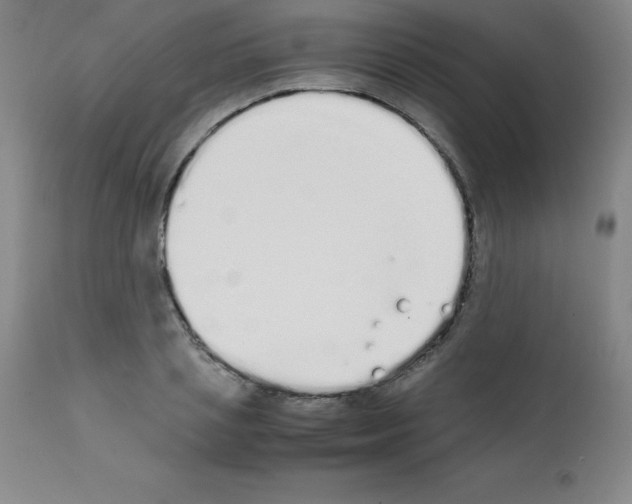 X0000111880837200909031838