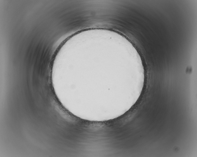 X0000111880838200909031838