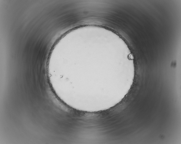 X0000111880840200909031838
