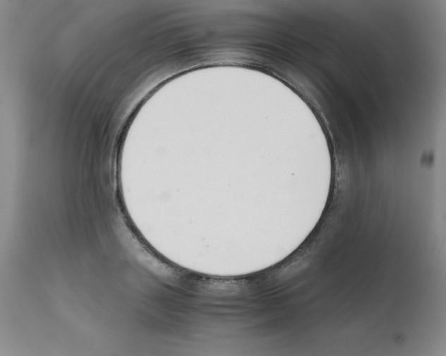 X0000111880843200909031838