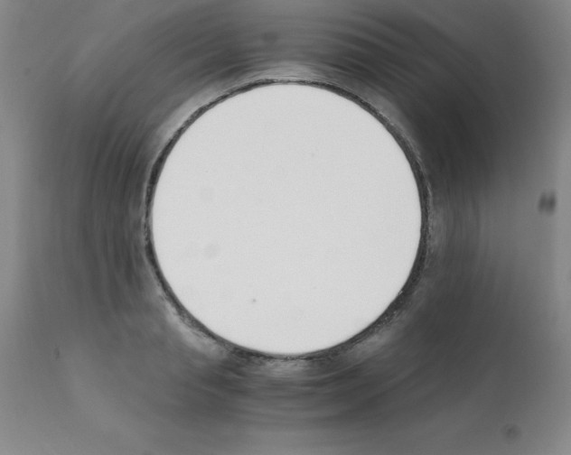 X0000111880845200909031838