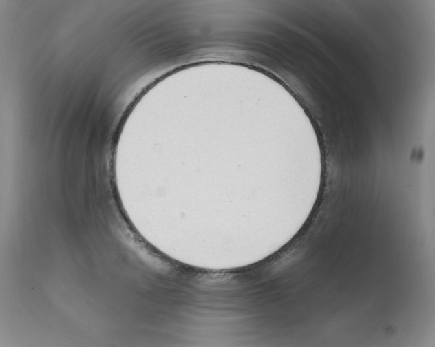 X0000111880846200909031838