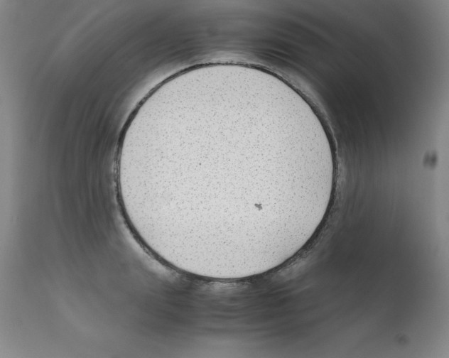 X0000111880847200909031838