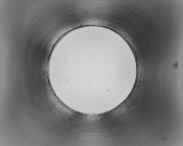 X0000111880848200909031838