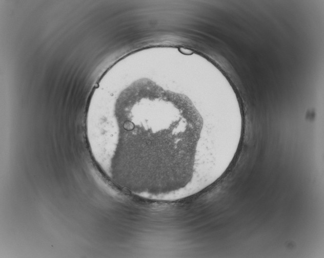 X0000111880850200909031838