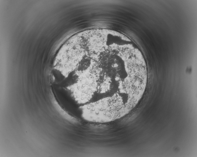 X0000111880851200909031838
