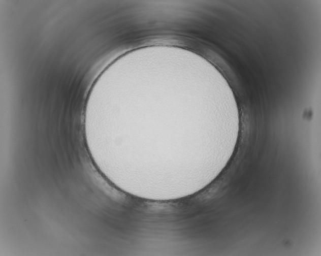 X0000111880852200909031838