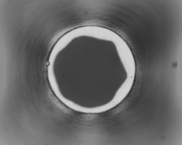 X0000111880854200909031838