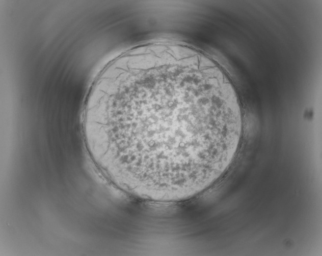 X0000111880856200909031838
