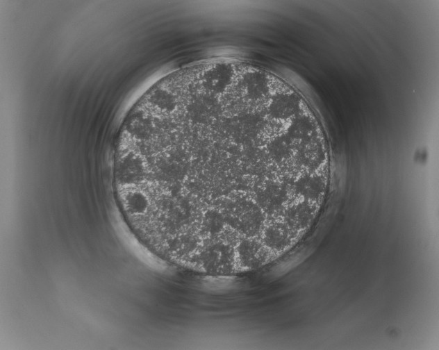 X0000111880859200909031838