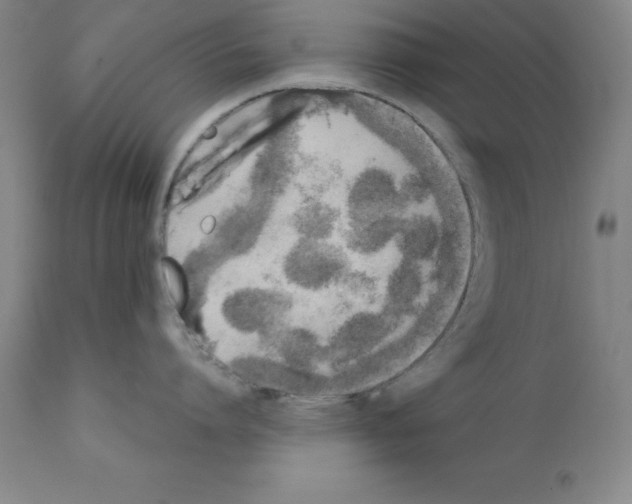 X0000111880864200909031839