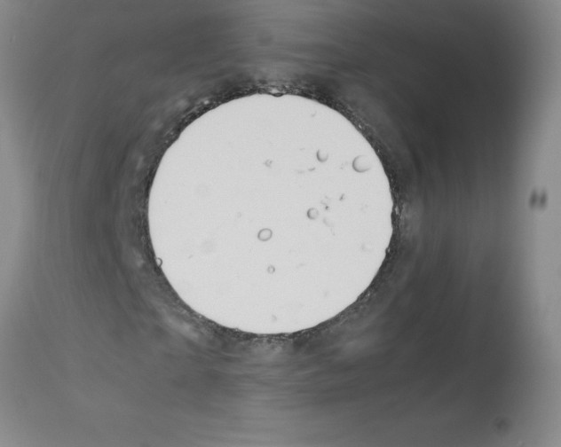 X0000111880865200909031838