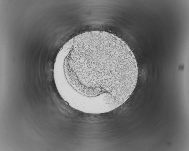 X0000111880868200909031838