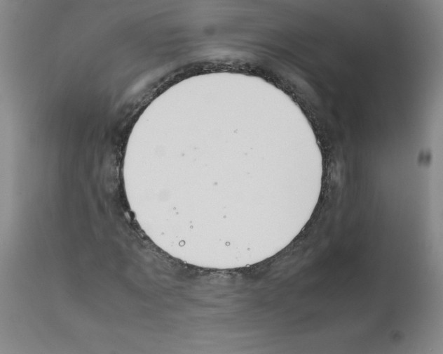 X0000111880869200909031838
