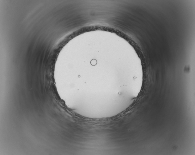 X0000111880872200909031838