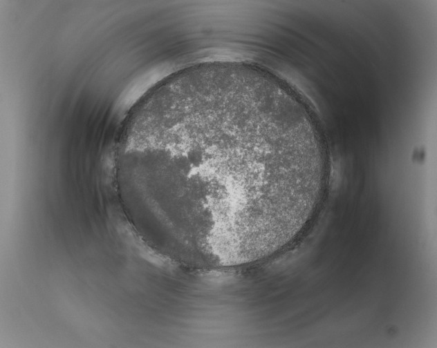 X0000111880874200909031838