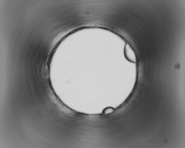X0000111880876200909031838