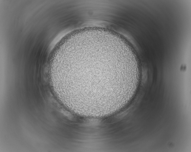 X0000111880878200909031838
