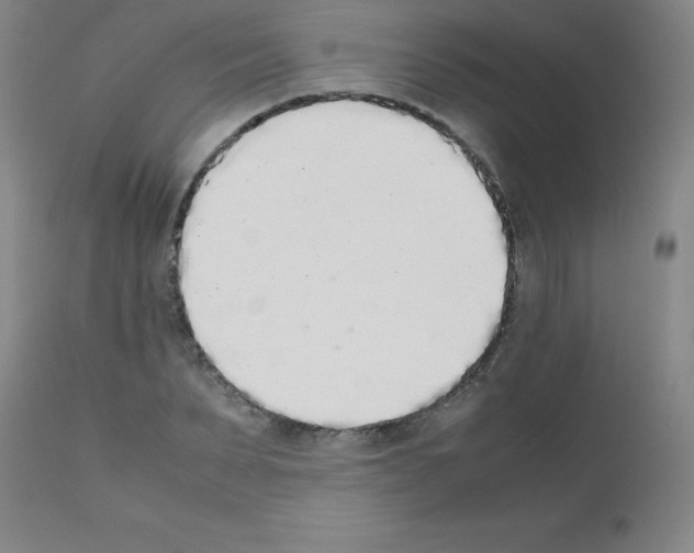 X0000111880879200909031838