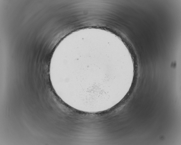 X0000111880881200909031837