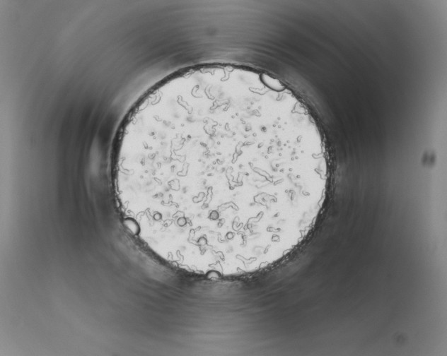 X0000111880884200909031837