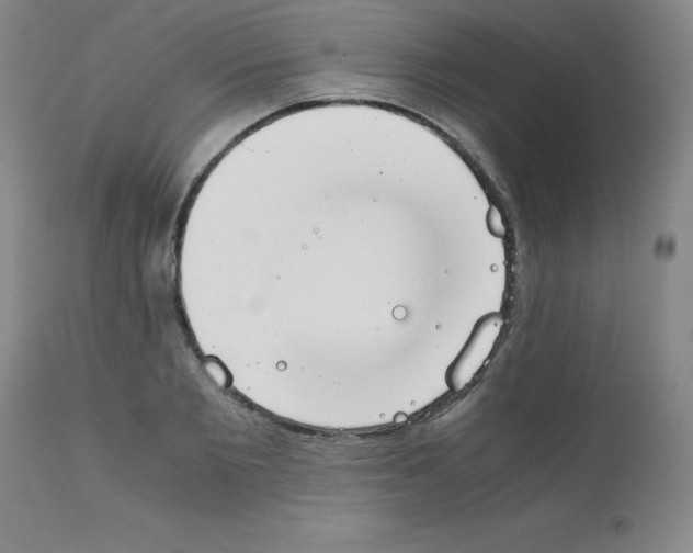 X0000111880885200909031837