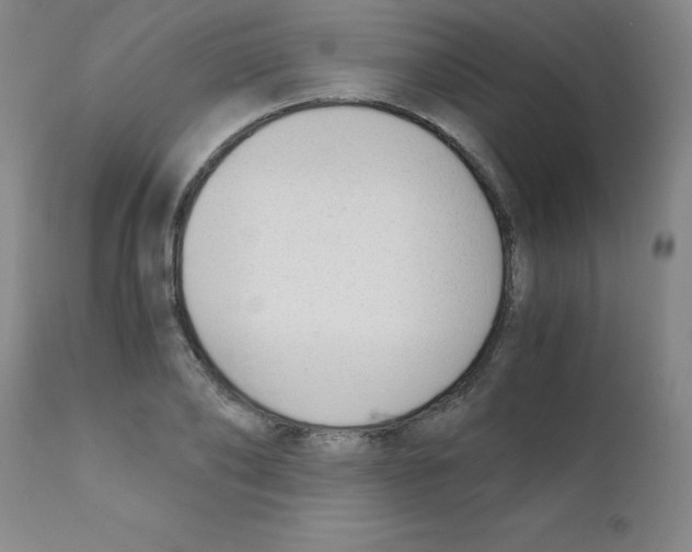 X0000111880886200909031837