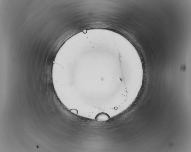 X0000111880889200909031837