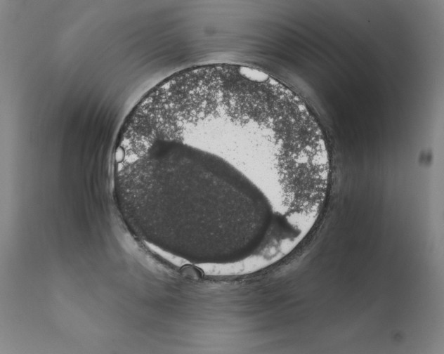 X0000111880892200909031837